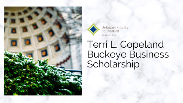 Terri L. Copeland Buckeye Business Scholarship